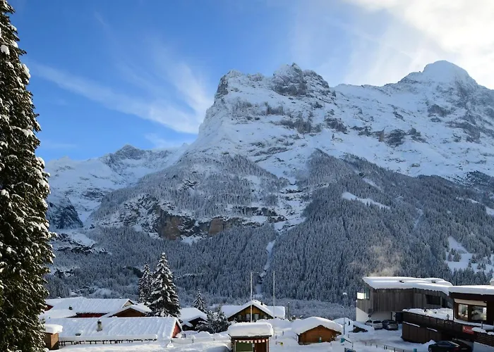 Grindelwalderhof 3* 그린델발트